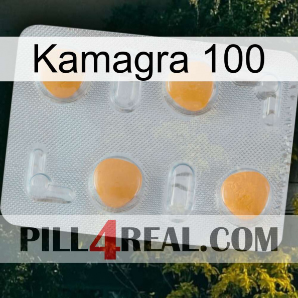 Kamagra 100 24